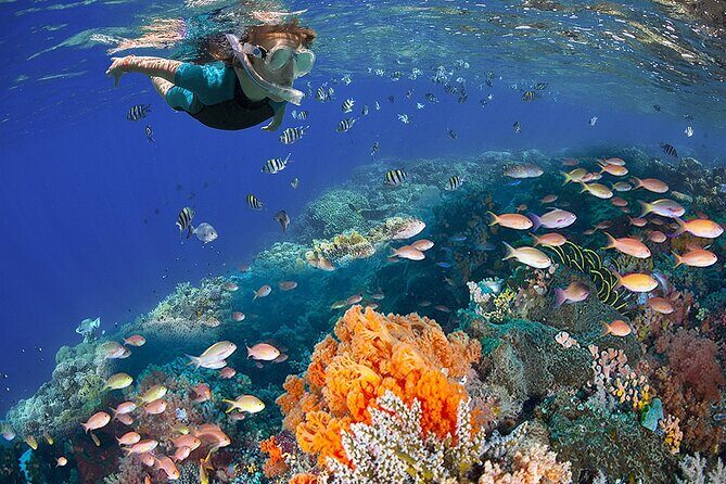 All Inclusive Buggy Adventure - Final Thoughts: Who Is This Tour Best For?