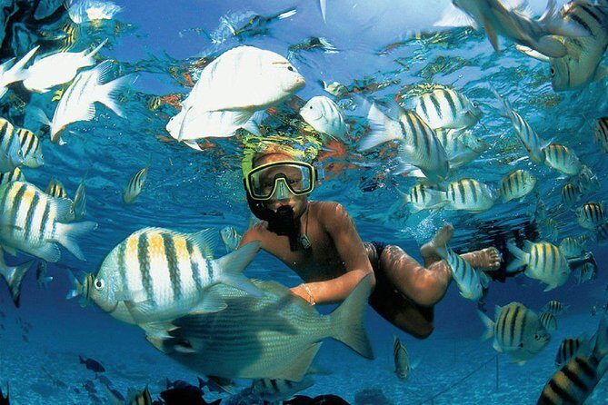All Inclusive Caribbean adventure, reef snorkeling, Food & Drinks - Starting Point and Transportation