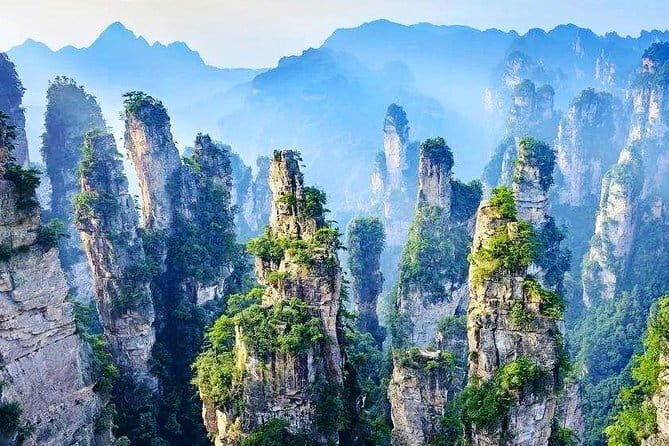 All Inclusive Chengdu Giant Panada Base Private Day Tour from Guangzhou by Air - Who Should Consider This Tour?