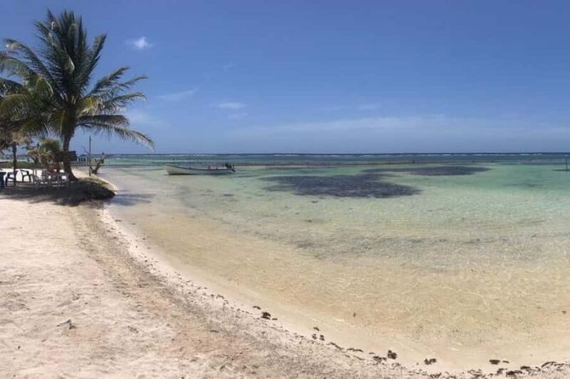 All-Inclusive Costa Maya Beach Break with Open Bar - Making the Most of Your Day in Costa Maya