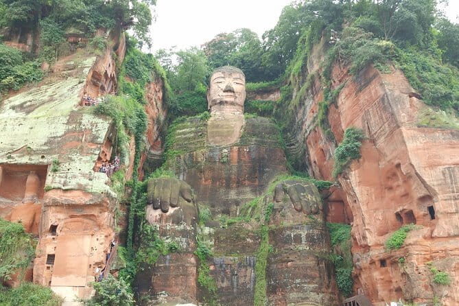 All-Inclusive: Customizable Giant Panda Private Day Trip in Chengdu - Real Feedback from Travelers