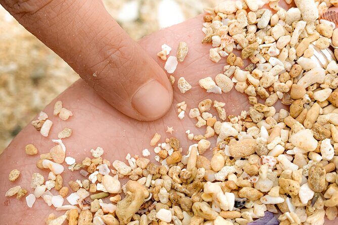 All Inclusive Day Tour to Frankland Islands Great Barrier Reef - Considerations for Travelers