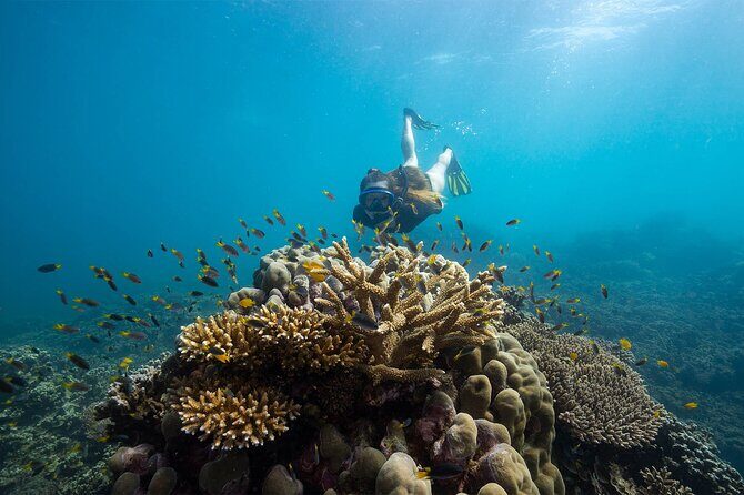 All Inclusive Day Tour to Frankland Islands Great Barrier Reef - FAQ