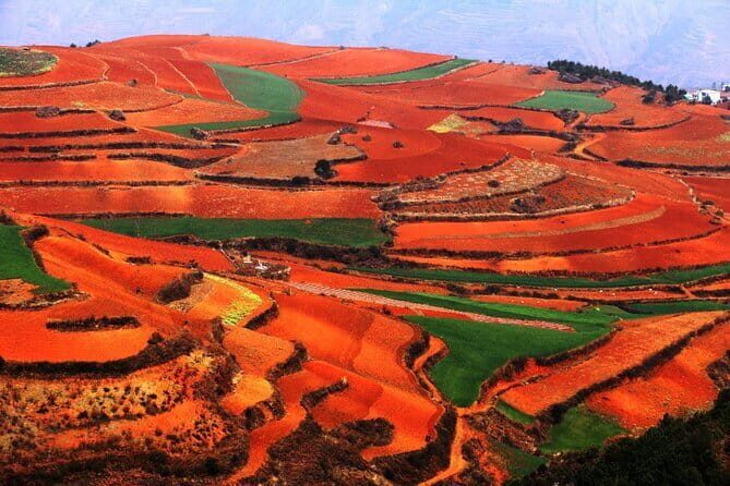 All inclusive Dongchuan red earth tour start from Kunming - Visiting Dongchuan Red Land: What to Expect