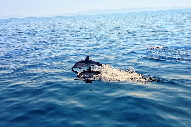 All-Inclusive Full-Day Cruise & Lunch - FAQ