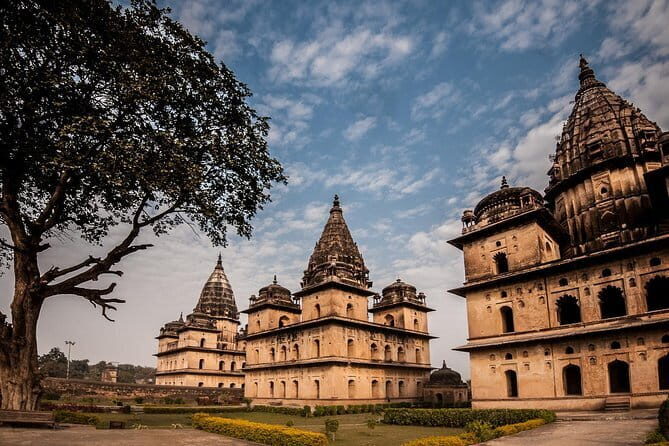 All Inclusive Full Day Sightseeing Tour of Orchha - Final Thoughts: Who Is This Tour Perfect For?