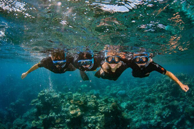 All Inclusive Great Barrier Reef Cruise w optional Scuba Diving - Who Will Love This Tour?