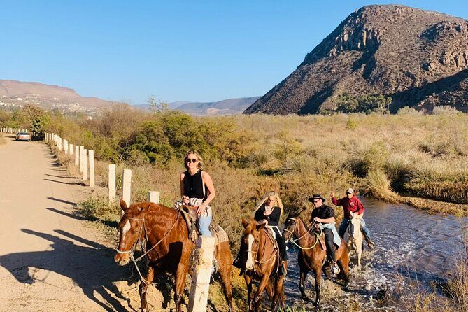 All-Inclusive Horseback Riding on the Beach in Mexico - The Experience: A Day of Riding and Relaxation