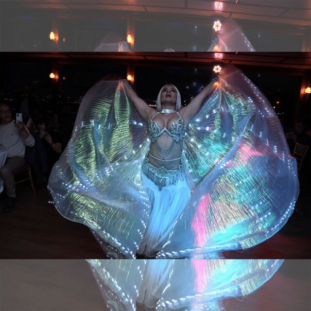 All Inclusive; Istanbul Bosphorus Dinner Cruise w/live shows - Introduction