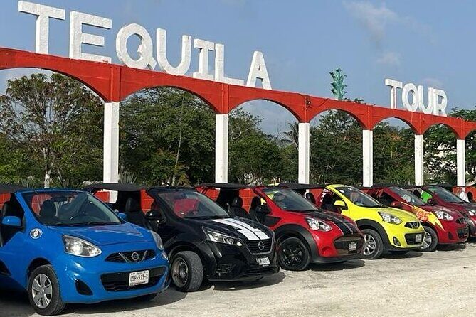 All Inclusive Mayan Ruins EN Buggy & Snorkeling Tour - Key Points