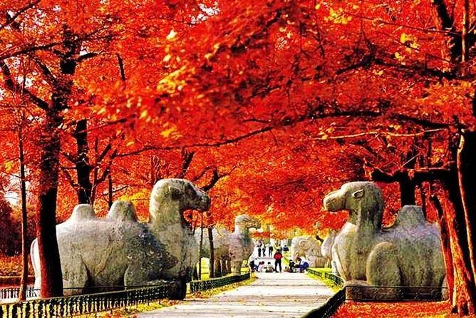 All Inclusive Nanjing City Private Day Tour with Tailor-Made Highlights - The Itinerary in Detail: What to Expect