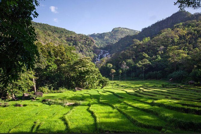 All inclusive - Overnight tour to undiscovered village of Mahiyanganaya - A Deep Dive into the Tour Experience