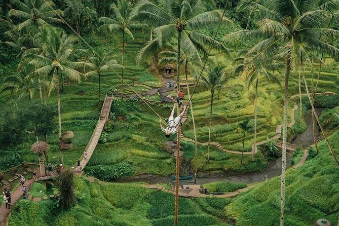 All inclusive Private 3 day tours package : Bali highlights - What Makes This Tour Stand Out?
