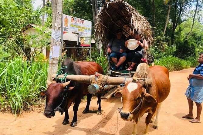 All inclusive Private Day tour Sigiriya, Dambulla & traditional village tour - The Sum Up