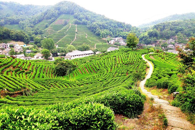 All-Inclusive Private Day Tour to Hangzhou by Bullet Train - FAQ
