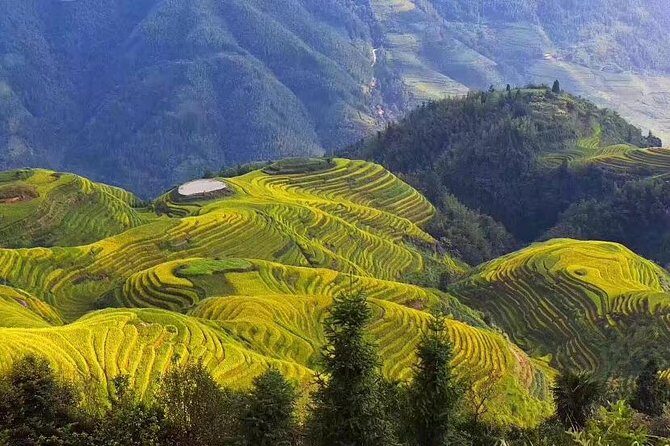 All-inclusive Private Day Tour to Longji Rice Terraces and Village - Key Points