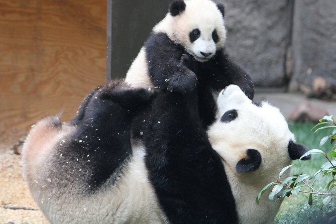 All-inclusive Private Day Trip: Hutongs, Lama Temple & Panda House with Lunch - FAQs