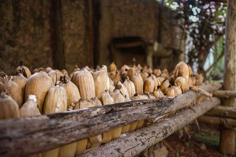 All Inclusive Private Experience to Chichen itza with Cenote from Cancun - The Comfort of Private, Hassle-Free Travel