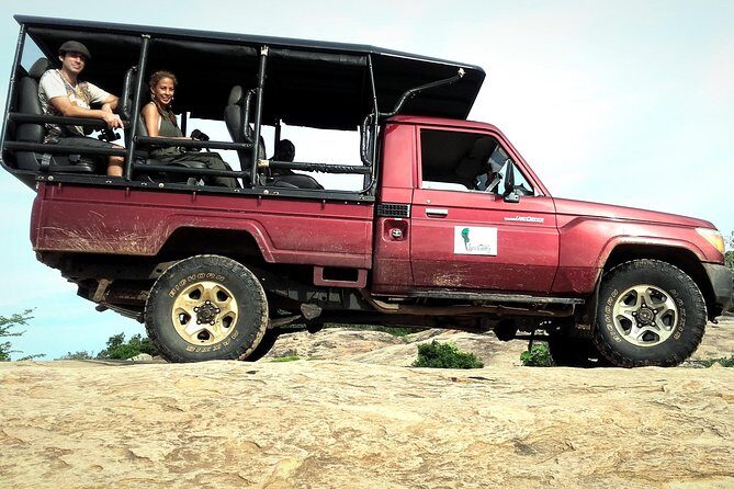 All Inclusive Private Full Day Safari in Yala National Park with Lunch - Key Points