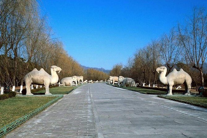 All Inclusive Private Tour to Mutianyu Great Wall and Ming Tombs - Who is This Tour Best For?