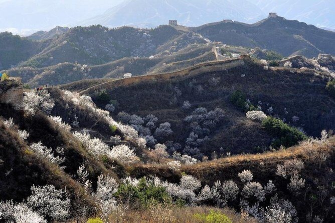 All-Inclusive Private Wild Great Wall Hiking Tour at Gubeikou - Why This Tour Offers Great Value
