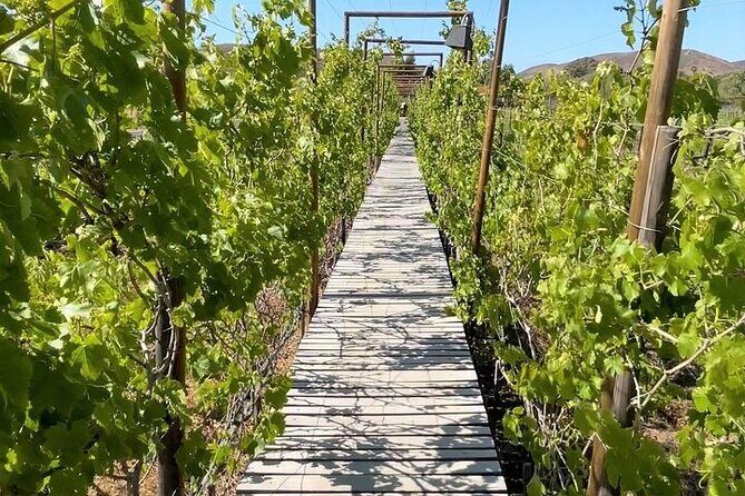 All-Inclusive Private Wine Tour in Baja - Starting Off with Coastal Charm at La Fonda