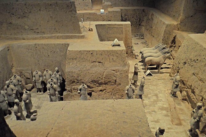 All Inclusive Private Xian Essence One Day Trip from Beijing by Air - Practical Insights and Tips