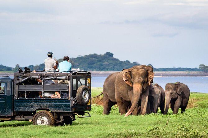 All-inclusive Sigiriya, Dambulla and Wildlife Safari from Colombo - FAQ