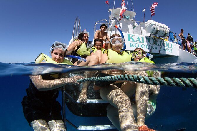All-Inclusive Sunset Dolphin Watch and Snorkeling Cruise - A Complete Breakdown of the Sunset Dolphin Watch and Snorkeling Cruise