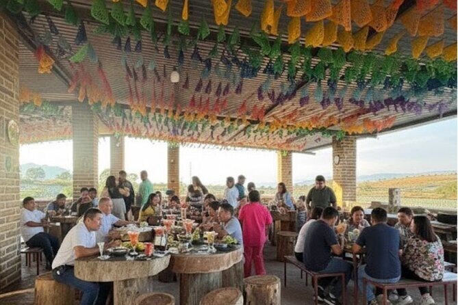 All-Inclusive Tequila, History and Adventure in Rancho Agavero - Analyzing the Value