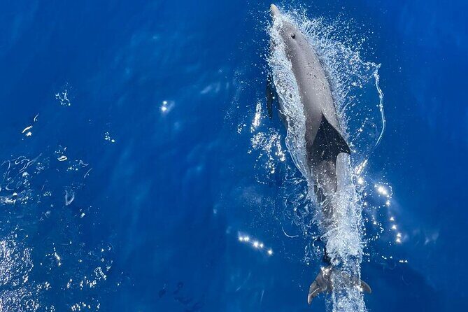 All Inclusive Tour to Delos and Rhenia Islands with S/Y Olga M - Authenticity and Value