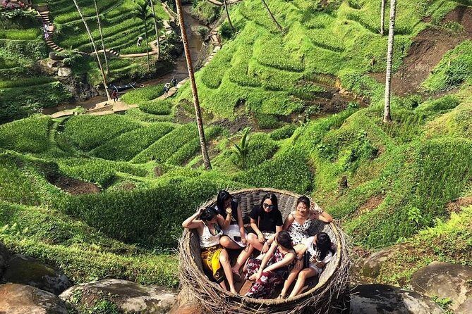 All Inclusive "Ubud ATV Riding,Rice terrace view & Ubud Swing - What Travelers Say: Authentic Insights