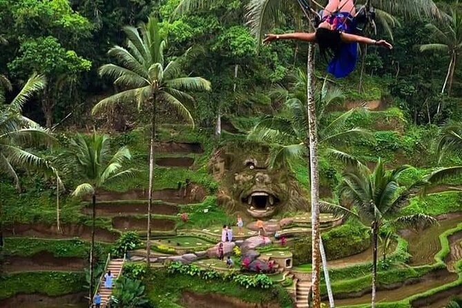 All Inclusive "Ubud ATV Riding,Rice terrace view & Ubud Swing - The Sum Up
