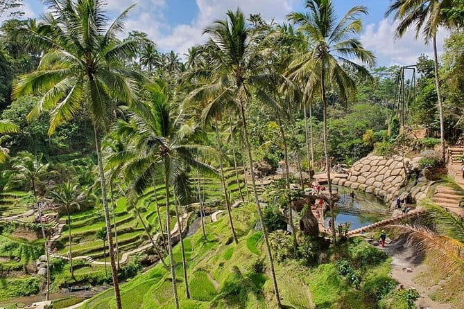 All Inclusive Ubud Experience - Key Points