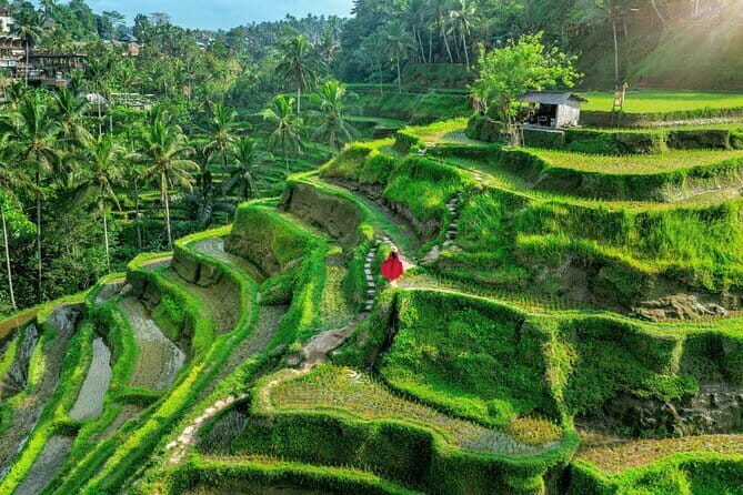 All Inclusive Ubud Experience - Who Is This Tour Best For?