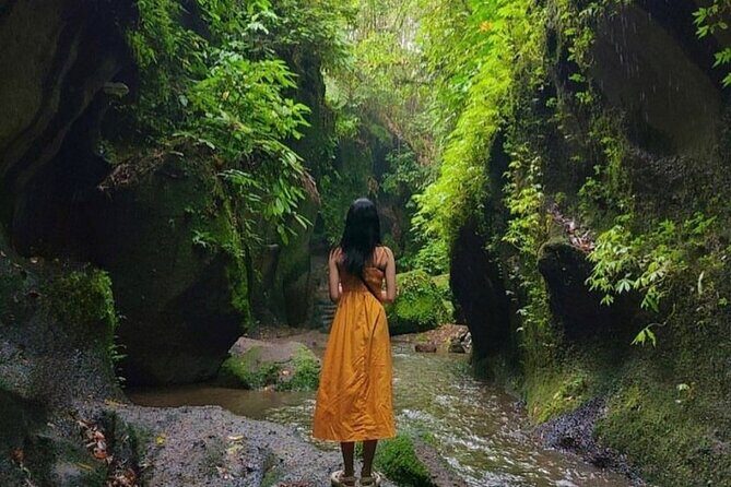 All inclusive Ubud private tour - Exploring Ubud’s Highlights in Detail