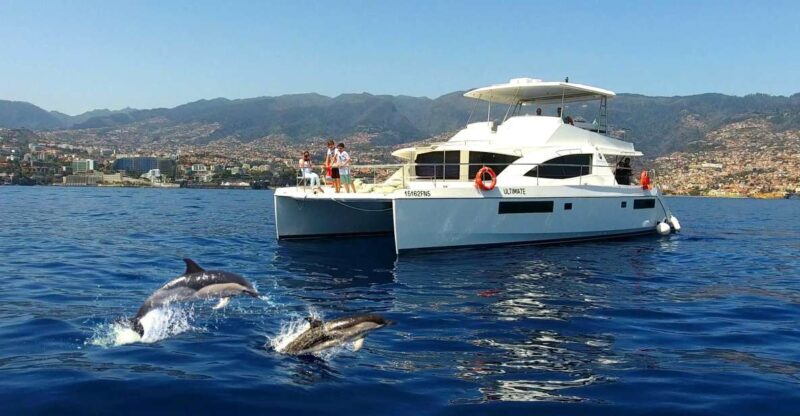 All Inclusive Whale and Dolphin Watching Luxury Tour - Key Points