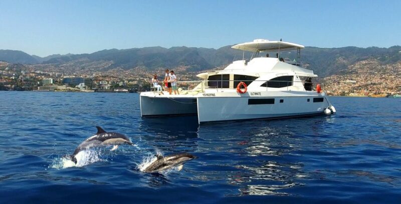 All Inclusive Whale and Dolphin Watching Luxury Tour - An In-Depth Look at the Experience