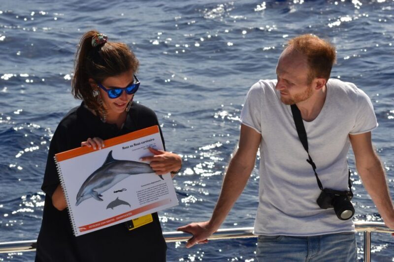 All Inclusive Whale and Dolphin Watching Luxury Tour - Who Will Love This Tour?