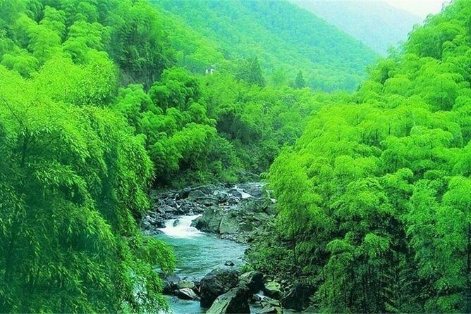 All Inclusive Yixing Bamboo Forest Private Day Tour from Shanghai - What We Loved About the Tour