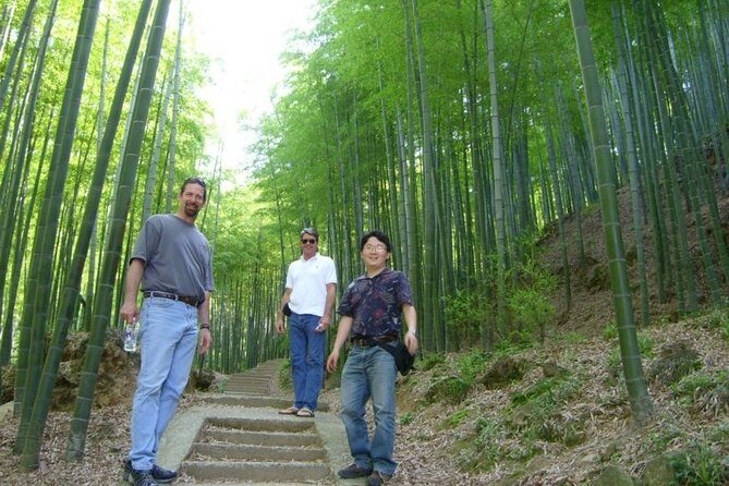All Inclusive Yixing Bamboo Forest Private Day Tour from Shanghai - Considerations and Possible Drawbacks