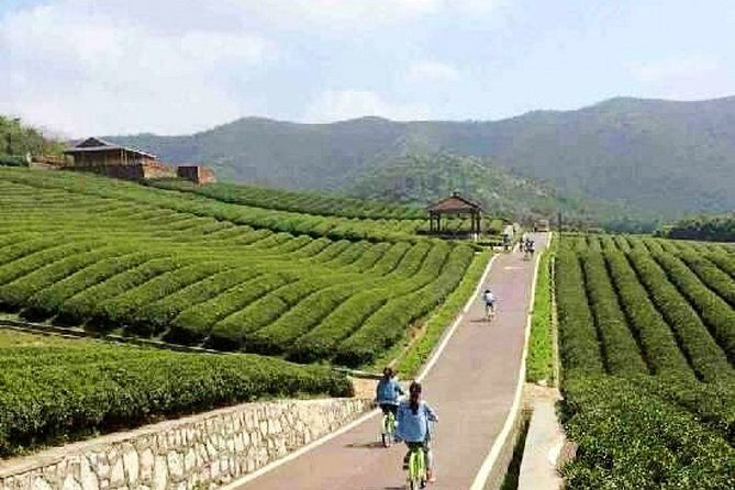 All Inclusive Yixing Bamboo Forest Private Day Tour from Shanghai - Who Is This Tour Best For?