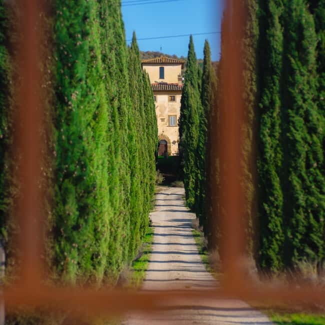 All Tuscany Wine Tour - All Tuscany Wine Tour: A Balanced and Authentic Taste of Italy’s Finest
