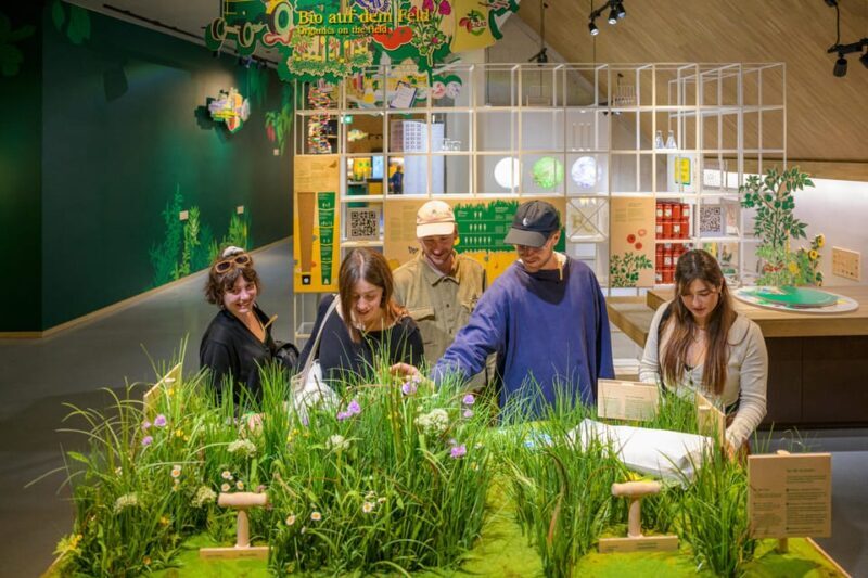 Allgäu: Rapunzel Welt Entry Ticket for Interactive Museum - Key Points