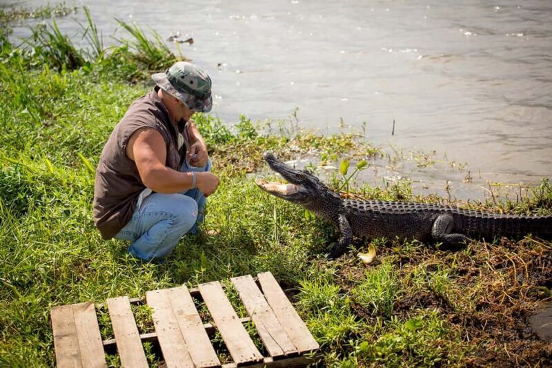 Alligator Swamp Tour by Gray Line New Orleans - Who Should Consider This Tour?