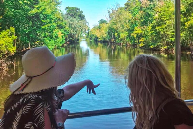 Alligator Swamp Tour by Gray Line New Orleans - FAQ About the Gray Line Alligator Swamp Tour