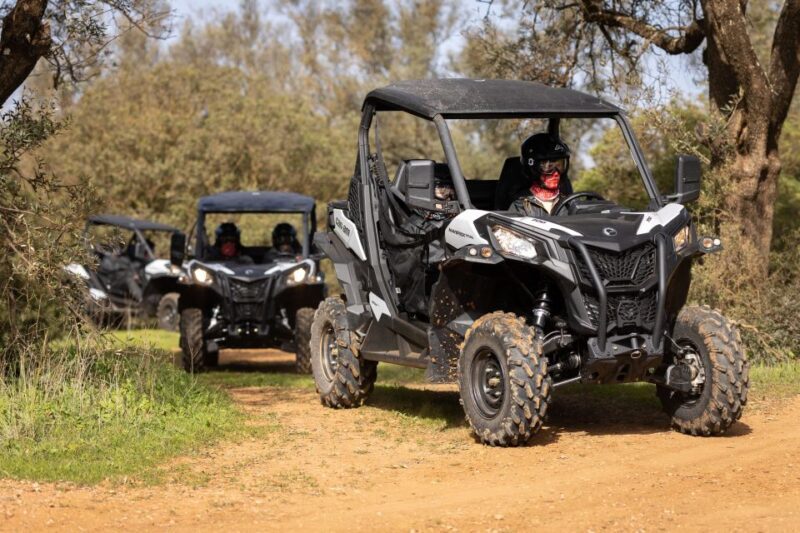 Almancil: Algarve Guided Off-Road Buggy Adventure - An In-Depth Look at the Algarve Off-Road Buggy Adventure