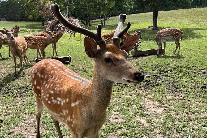Almaty City Tour Green Bazaar Iconic City Routes and Kok Tobe - The Quality of Service & Overall Value