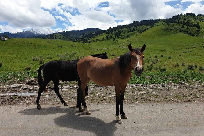 Almaty Region 3 Days Tour from Almaty - The Sum Up