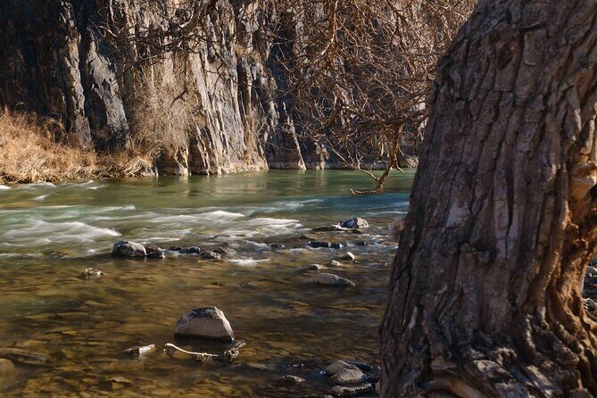 Almaty Wonders Charyn Canyon and Kolsay Lake in One Day - Authentic Experiences and Traveler Feedback